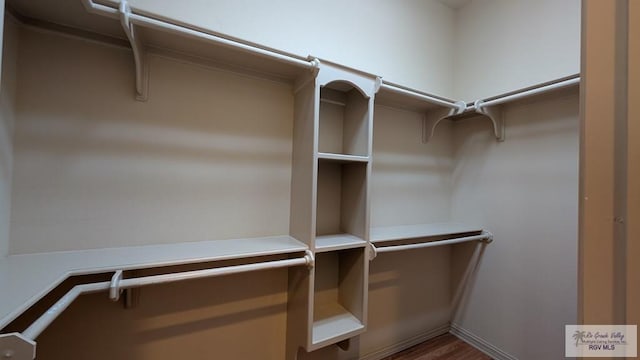 5805 Acacia, Harlingen, TX 78552 - view of walk in closet