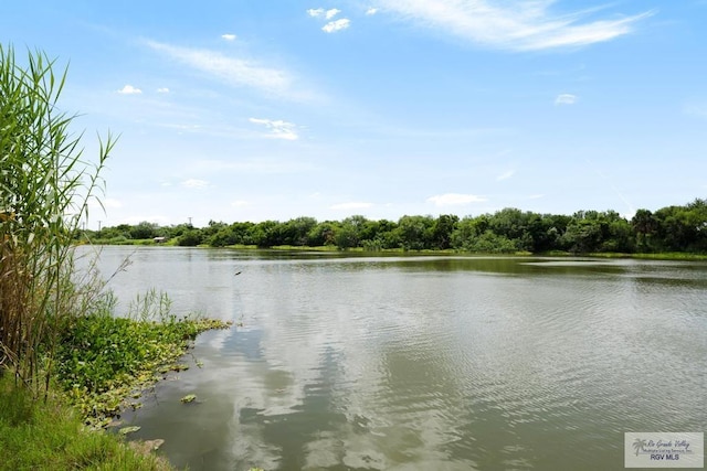 property view of water