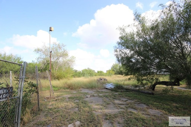 825 E Vinson Ave, Harlingen, TX 78550 - view of yard
