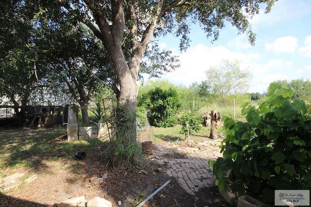 825 E Vinson Ave, Harlingen, TX 78550 - view of yard