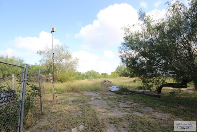 825 E Vinson Ave, Harlingen, TX 78550 - view of yard
