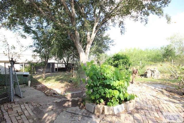 825 E Vinson Ave, Harlingen, TX 78550 - view of yard