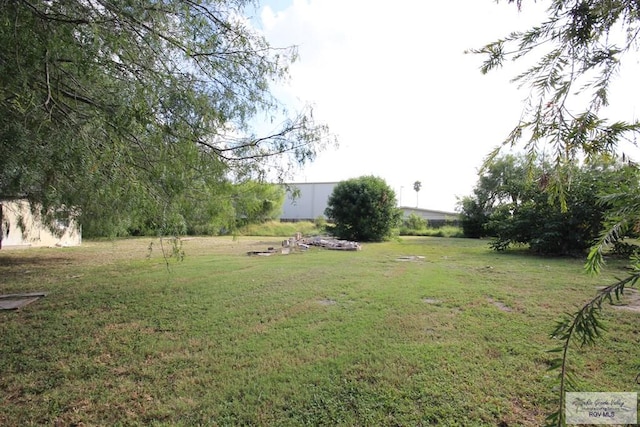 825 E Vinson Ave, Harlingen, TX 78550 - view of grassy yard