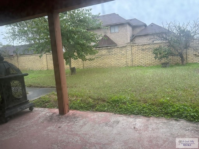 view of yard featuring a patio area