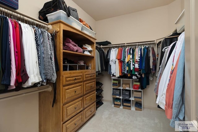 5713 Spicewood, Harlingen, TX 78552 - walk in closet featuring carpet floors