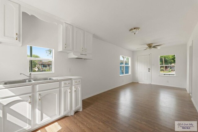 kitchen with white cabinetry, sink, ceiling fan, and hardwood / wood-style floors