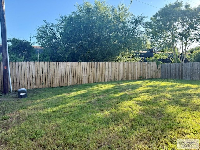 17134 Mandarin Ave, Harlingen, TX 78552 - view of yard