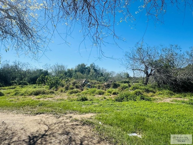 1400 Milpa Verde, Brownsville, TX 78521 - view of nature