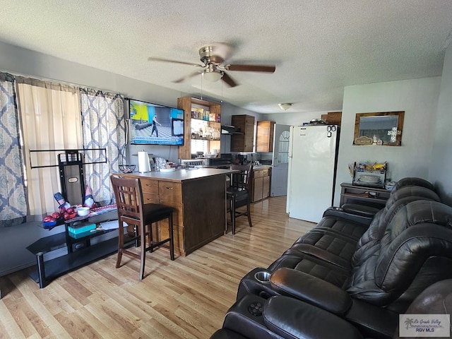 living room featuring ceiling fan, light wood-type flooring, and a textured ceiling