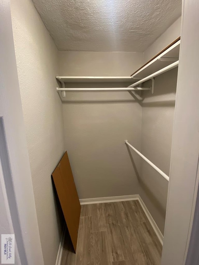 spacious closet featuring wood-type flooring