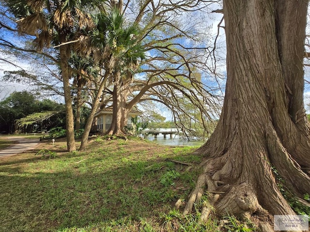 view of yard with a water view