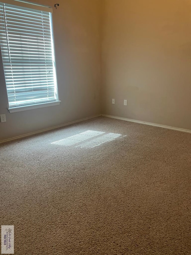 unfurnished room featuring carpet flooring