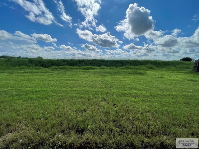 view of local wilderness with a rural view