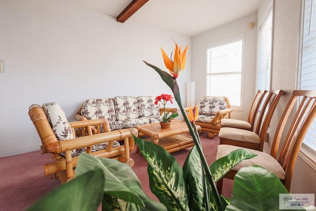 109 E Pompano St, South Padre Island, TX 78597 - living area with carpet, healthy amount of natural light, and beamed ceiling