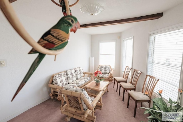 109 E Pompano St, South Padre Island, TX 78597 - living room with beam ceiling and light carpet
