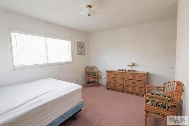 109 E Pompano St, South Padre Island, TX 78597 - bedroom with carpet flooring