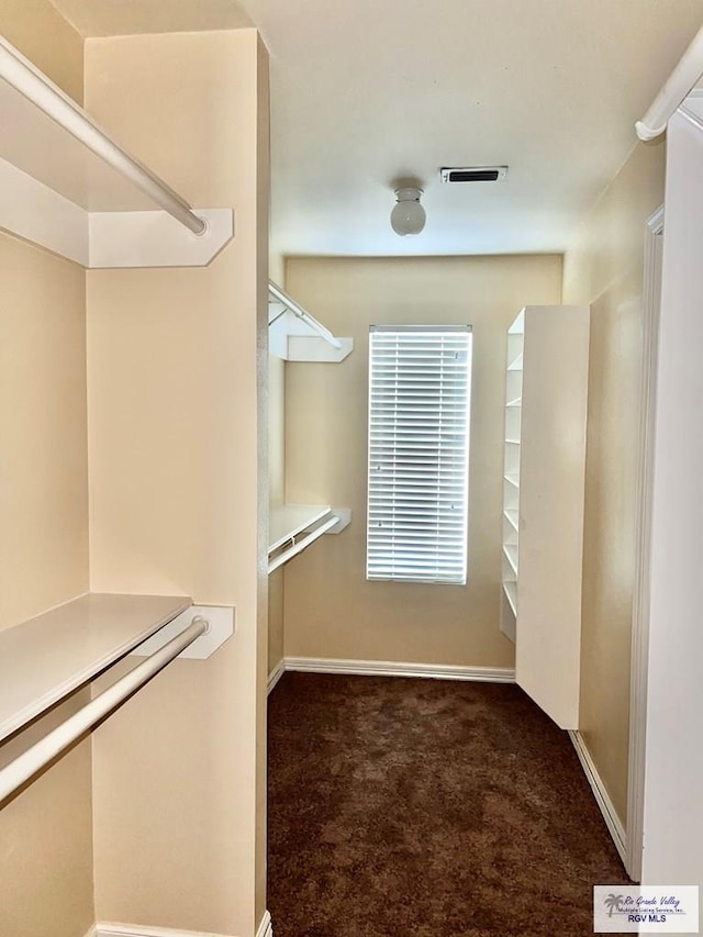 144 Country Club Rd Unit 1, Brownsville, TX 78520 - walk in closet with visible vents and carpet