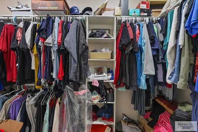 view of spacious closet