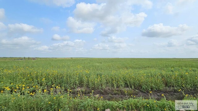 N/A Turner Rd, Lyford, TX 78569 - photo 4