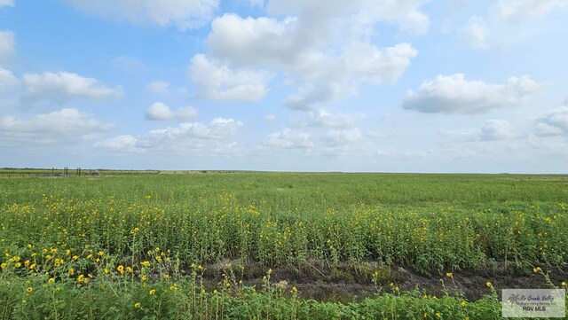 N/A Turner Rd, Lyford, TX 78569 - photo 6