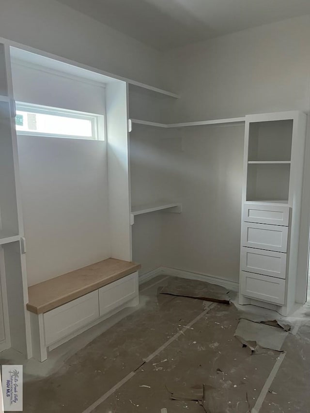 view of spacious closet