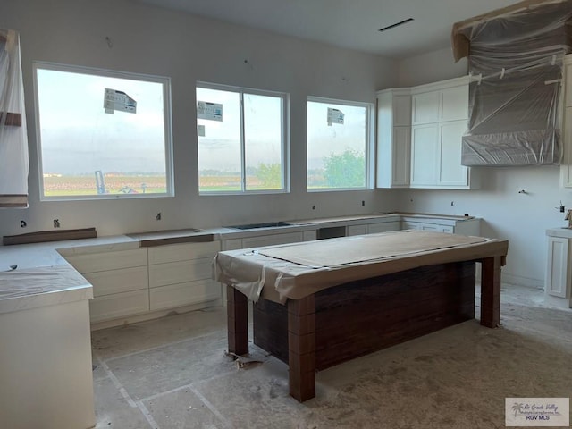 kitchen featuring white cabinetry