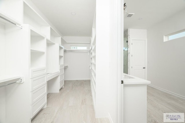 spacious closet featuring light wood-type flooring