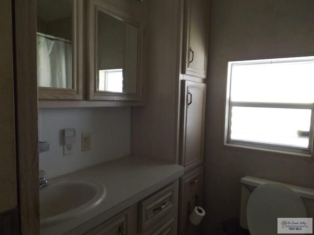 bathroom featuring vanity, toilet, and a wealth of natural light