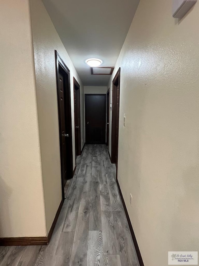 310 N Arroyo Blvd, Rio Hondo, TX 78583 - photo 13
