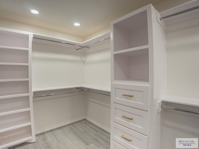 spacious closet with light wood-type flooring