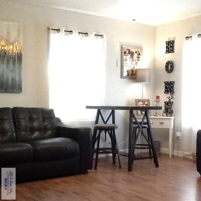 living room featuring hardwood / wood-style flooring