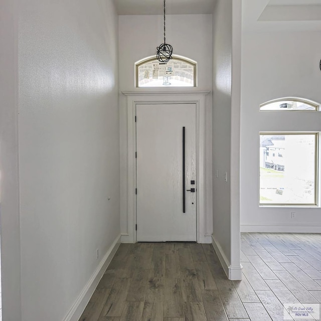 foyer entrance featuring a healthy amount of sunlight and hardwood / wood-style flooring