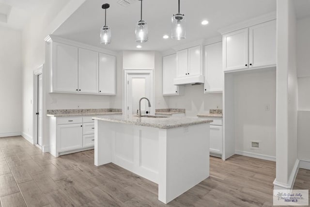 1838 Castillo St, Olmito, TX 78575 - kitchen with a sink, under cabinet range hood, recessed lighting, light wood-style floors, and white cabinets