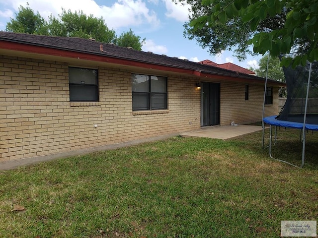 back of house featuring a patio area, a trampoline, and a yard