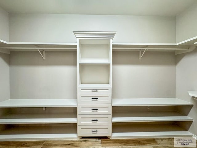 spacious closet with hardwood / wood-style flooring