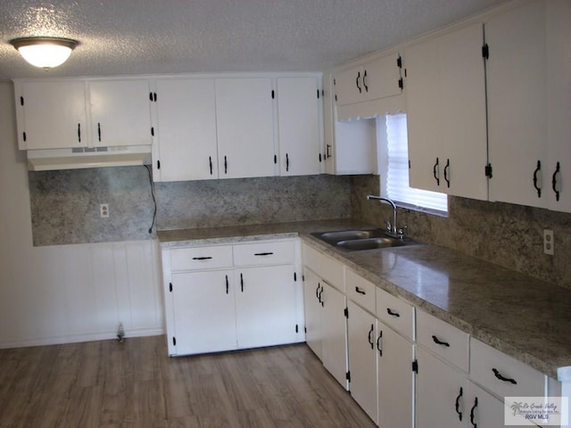 kitchen featuring backsplash, a sink, light wood-style flooring, and under cabinet range hood