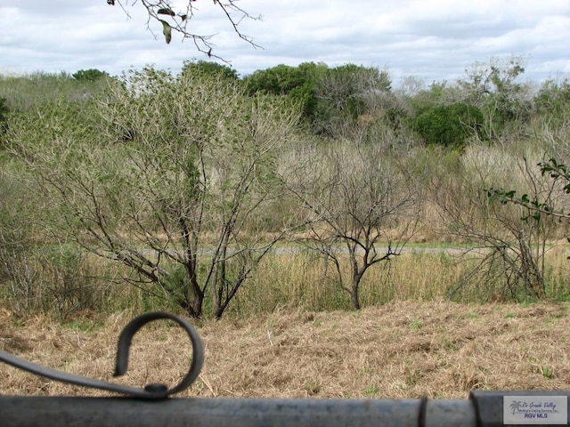 view of landscape