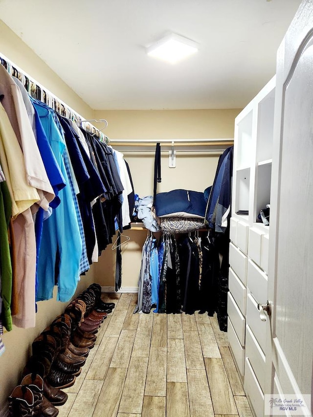 view of spacious closet