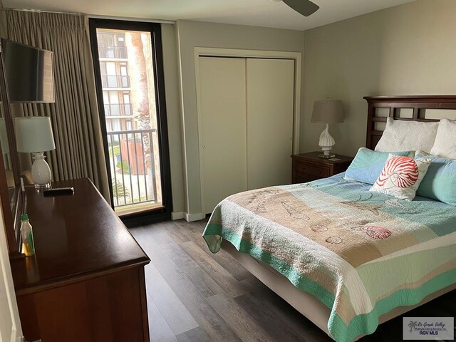 bedroom featuring a closet, multiple windows, and wood finished floors