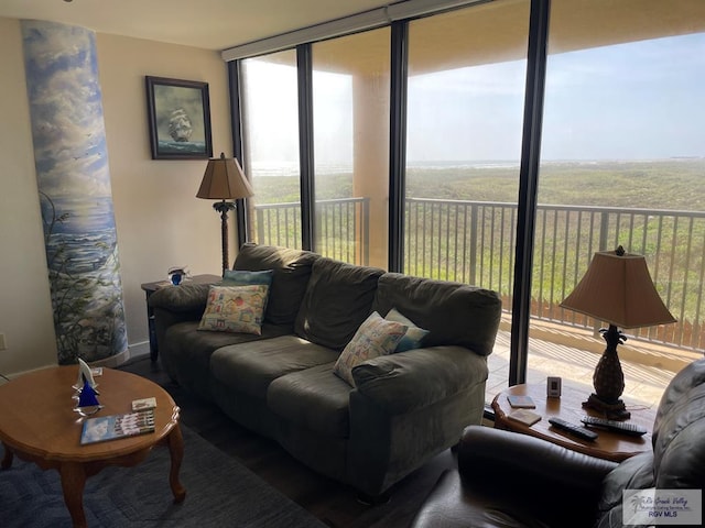 110 Padre Blvd Unit 202, South Padre Island, TX 78597 - living room with baseboards