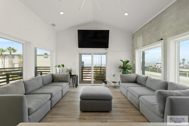 living room featuring light hardwood / wood-style floors, high vaulted ceiling, and plenty of natural light