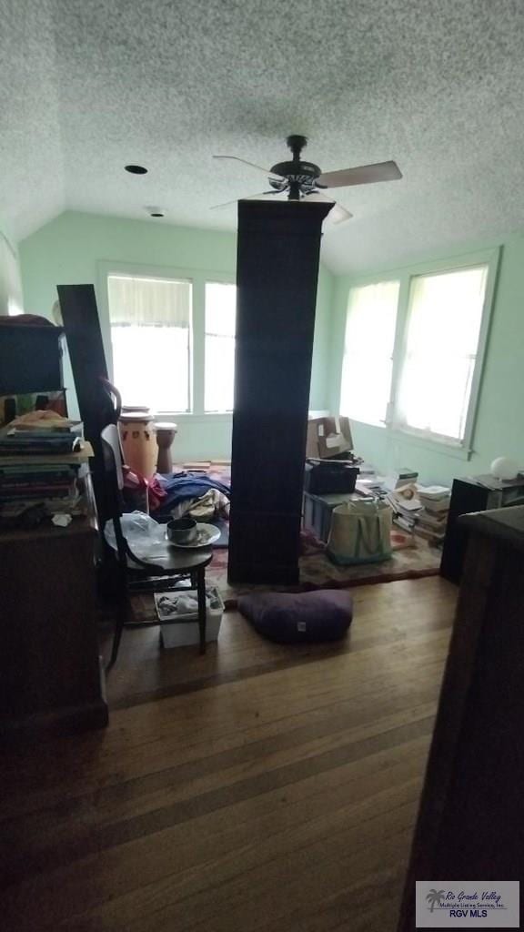 515 Honeydale Rd, Brownsville, TX 78520 - interior space with a textured ceiling, a ceiling fan, plenty of natural light, and vaulted ceiling