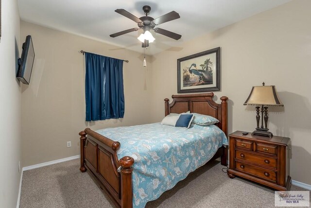 29 Harbor Vw, Laguna Vista, TX 78578 - photo 12