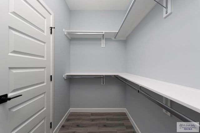 2023 Peace Dr # 23, La Feria, TX 78559 - walk in closet featuring dark wood-type flooring