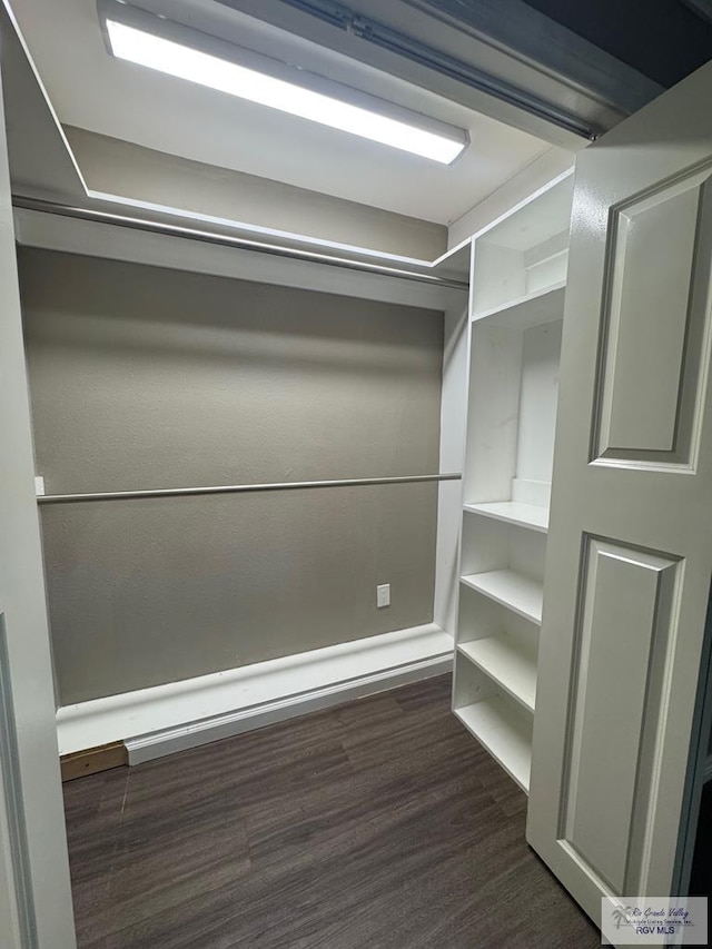 1875 Sancho Panza Cir, Brownsville, TX 78521 - walk in closet with dark wood-style floors