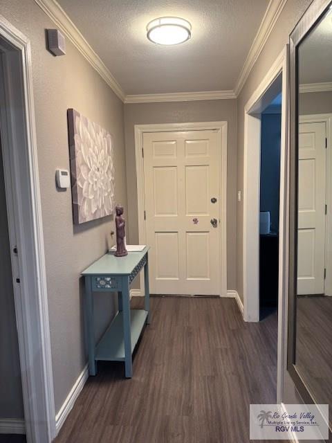 1875 Sancho Panza Cir, Brownsville, TX 78521 - corridor with dark wood-type flooring, crown molding, baseboards, and a textured ceiling
