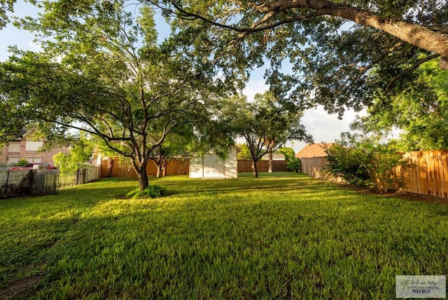 view of yard with a storage shed