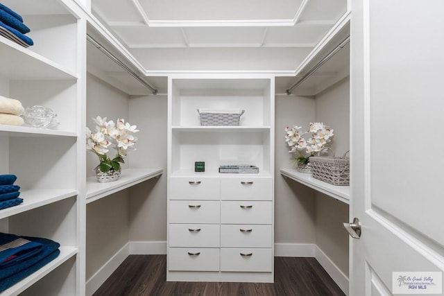 walk in closet featuring dark hardwood / wood-style flooring