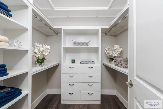 6121 Guadalupe River St, Brownsville, TX 78521 - spacious closet featuring dark wood-style floors