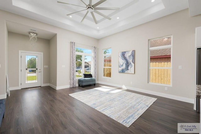 6121 Guadalupe River St, Brownsville, TX 78521 - foyer featuring a tray ceiling, plenty of natural light, dark wood-style flooring, recessed lighting, and a ceiling fan
